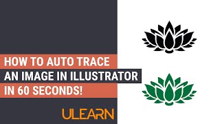 How to Auto Trace an Image in Illustrator in 60 seconds [upl. by Naihr]