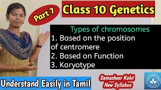 Types of Chromosomes based on the position of centromere and based on the function Karyotype [upl. by Chimene]