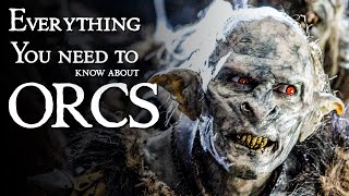 Everything You Need To Know About The ORCS [upl. by Ollopa7]