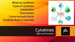 CYTOKINES Interleukins and their functions Interferons Chemokines Immunology [upl. by Juliet156]