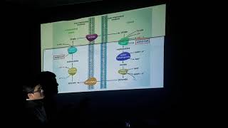 Biosintesis de Acidos Grasos y Eicosanoides Parte1 [upl. by Dupuis]