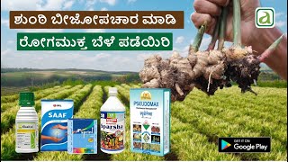 ಶುಂಠಿ ಬೀಜೋಪಚಾರ ಮಾಡಿ ರೋಗಮುಕ್ತ ಬೆಳೆ ಪಡೆಯಿರಿ I Ginger seed Treatment gingerSeedtreatment ಬೀಜೋಪಚಾರ [upl. by Ibbor]