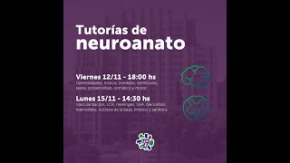 Tutorías de Anatomía neuroanatomía  Día 1 [upl. by Rebecka894]