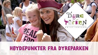 Høydepunkter fra Dyreparken [upl. by Nehgaem]