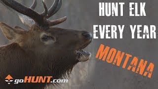 Hunt Elk Every Year Montana and the goHUNT INSIDER [upl. by Ahsinan337]