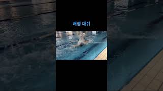 배영 대쉬 좋아요 구독 부탁드립니다 자유형 수영 swimpool swimmingpool 배영 [upl. by Eirojram]