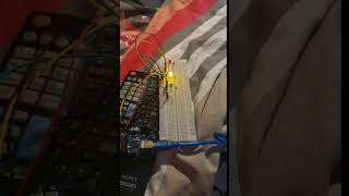 feu rouge Arduino programmé en assembler [upl. by Anaidni]