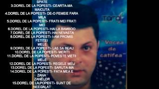 Dorel de la Popesti  Am fost un tata iubitor  Official Audio [upl. by Anaz]