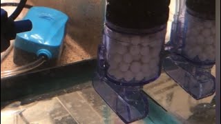 How To Setup a Double Bio Sponge Filter [upl. by Corbin]