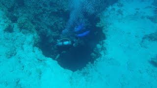 Dahab Divings  Canyon [upl. by Astiram770]