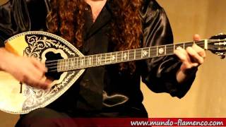 Bouzouki live improvisation [upl. by Jermyn93]