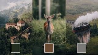 FREE DNG Preset  How to Get The Soft Faded Look like michaelkagerer Lightroom Wildlife Editing [upl. by Atelahs]