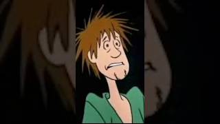 Zoinks Shaggy’s reaction to my sketches scoobydoo funny [upl. by Erdnoed]