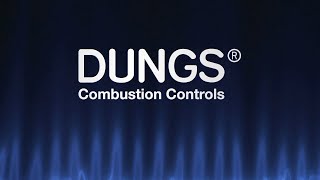 Dungs Corporate Movie [upl. by Llerrad]