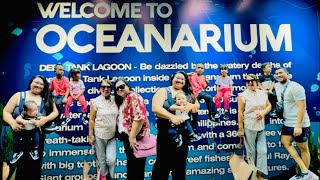 THE OCEANARIUM  CEBU OCEAN PARK cebuoceanpark cebu park educational marinelife fun cebu [upl. by Olbap]