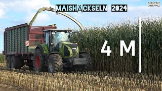 Mais höher als Häcksler  4 METER Mais häckseln  Claas Jaguar 870  Lohnunternehmen Bücherl [upl. by Ariayek]