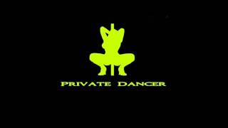 Private Dancer  Tina Turner  Cover  Tyros 3 [upl. by Anirazc]