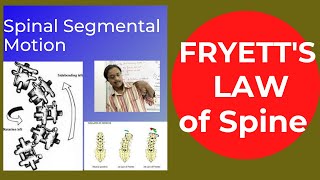 Fryettes LawFryettes principle of spinal motionCoupledmotionFryetts lawof spinehealtheducatum [upl. by Docile]