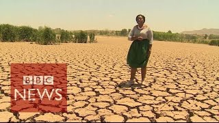 Worst drought in 30 years hits Sout Africa  BBC News [upl. by Ram]