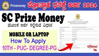 Prize Money Scholarship Application 2024  prize money scholarship for sc students 2024 [upl. by Winfred]