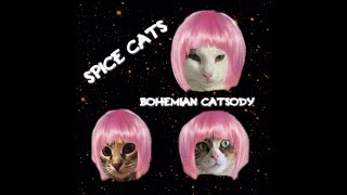 The Spice Cats cats music group  Bohemian catsody  2nd song [upl. by Yticilef]