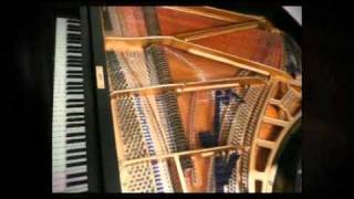 1950s Bluthner Baby Grand Piano  Restored Bluthner Baby Grand Piano [upl. by Nylia]