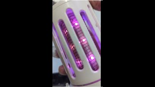 Clean LED Mosquito Killer Trap Lamp 清潔 LED 捕蚊燈 [upl. by Stefanac]