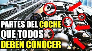 PARTES DEL MOTOR DE UN COCHE  Aprende a revisar el motor de tu auto  Cuánto Gana [upl. by Merrel593]