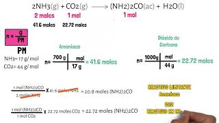 Reactivo Limitante [upl. by Egroej]
