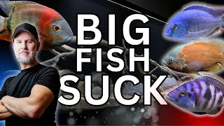 Whats Wrong With Keeping BIG AQUARIUM FISH [upl. by Esilana]