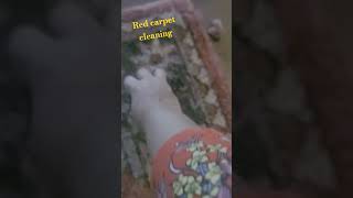 Red carpet cleaning [upl. by Lacee]