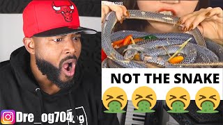 MUKBANG DISGUSTING HIGHLIGHT OF EATING EXOTIC FOOD  REACTION [upl. by Doggett]