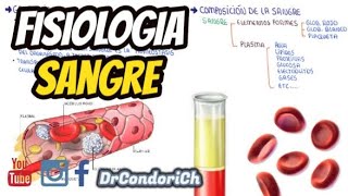 Fisiologia de la sangre composicion de la sangre Facil y sencillo [upl. by Player]