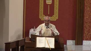 Homily Thirtysecond Sunday in Ordinary Time  Fr Hahn [upl. by Asare]