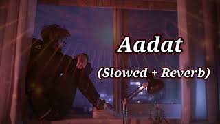 Aadat lofi song Slowed Reverb  Kalyug Movie [upl. by Asilehc]