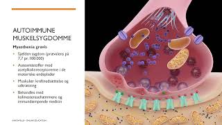 Patologi sygdomslære  Muskelsygdomme [upl. by Neelie]