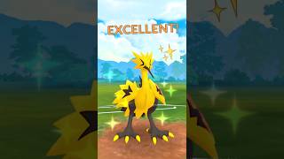 ✨ Shiny GALARIAN ZAPDOS in Pokemon GO [upl. by Ikkin]