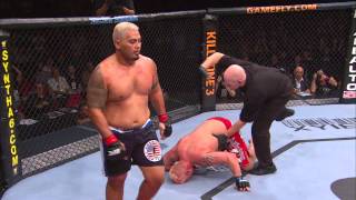 UFC 180 Heavy Hitters  Mark Hunt [upl. by Nesnah]