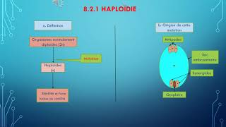 La génétique pas à pas  Mutations Génomiques Euploïdie  Haploidie et polyploïdie [upl. by Ecirp]