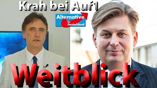 Warum Maximilian Krah AfD ein guter Vorsitzender wäre [upl. by Veradia]