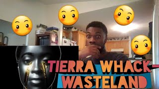 Talk to em Tierra Tierra Whack – Wasteland Screen Visualizer reaction [upl. by Mccomb]