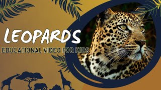 Learn About Leopards The Spotted Wonders Short Educational Video About Leopards For Kids [upl. by Ztnarf]