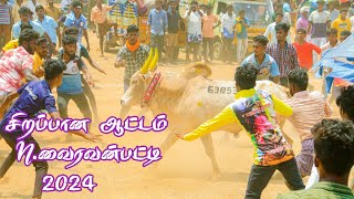 சிறப்பாக நடைபெற்ற N வைரவன் பட்டி மஞ்சுவிரட்டு 2024 n vairavanpatti manjuvirattu [upl. by Sitruc]