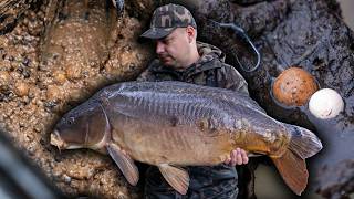 Zestaw helikopterowy odmienił los tej zasiadki🎯  Karpiowanie na mule  Fox Carp fishing [upl. by Pliske218]