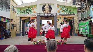 Ballet Folklórico Aromas de Azahar grupo INFANTIL Huapango estilo Veracruzano [upl. by Rubbico286]