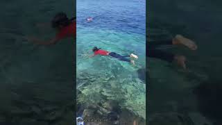 first time snorkeling in maldives maldives vibes diving swimming beautiful [upl. by Dean985]