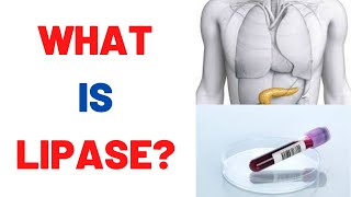 What is Lipase blood test Normal Levels [upl. by Ode]