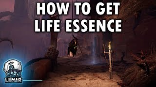 How to Get the Life Essence Dathomir Brothers Bastion Star Wars Jedi Fallen Order [upl. by Yrrad]