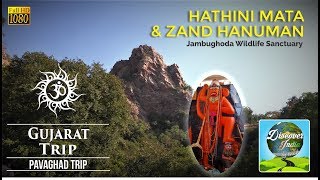 Hathini Mata Waterfall amp Zand Hanuman  Jambughoda Wildlife Sanctuary  Visitors guide in Hindi [upl. by Koy464]