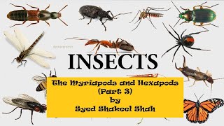 THE HEXAPODS AND MYRIAPODS Insects Part 2 I Invertebrate Diversity I Miller and Harley Chapter 15 [upl. by Eedoj]